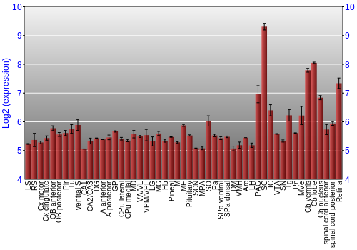 Expression graph