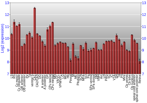 Expression graph