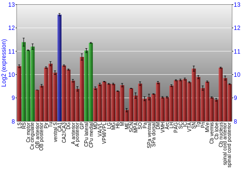 Multi-state expression graph