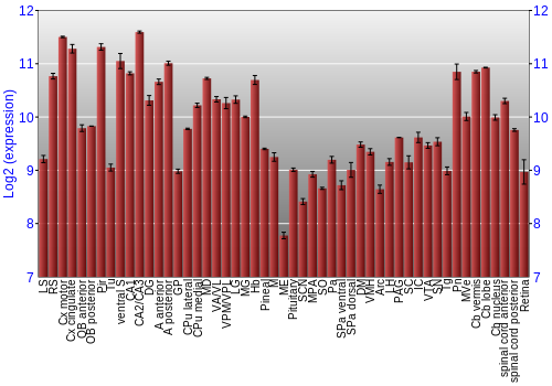 Expression graph