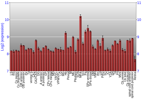 Expression graph