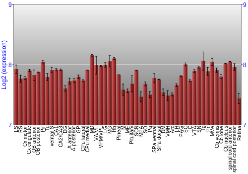 Expression graph