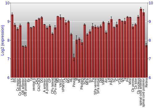Expression graph