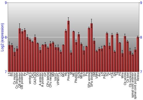Expression graph