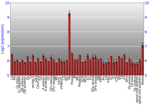 Expression graph