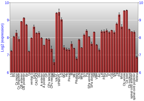 Expression graph
