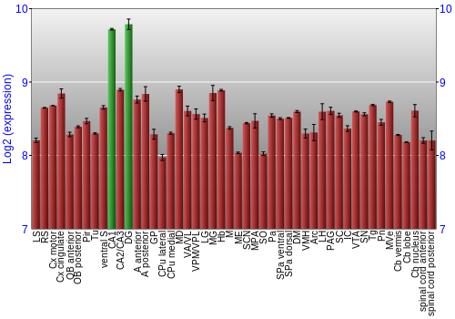 Multi-state expression graph