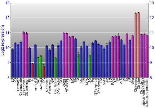 Multi-state expression graph