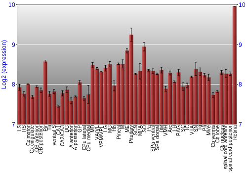 Expression graph