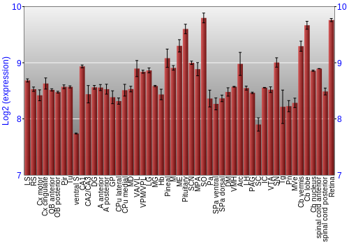 Expression graph