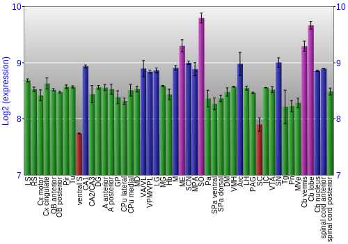 Multi-state expression graph