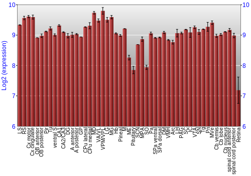 Expression graph