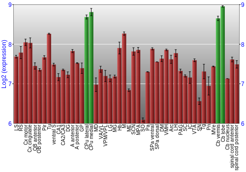 Multi-state expression graph