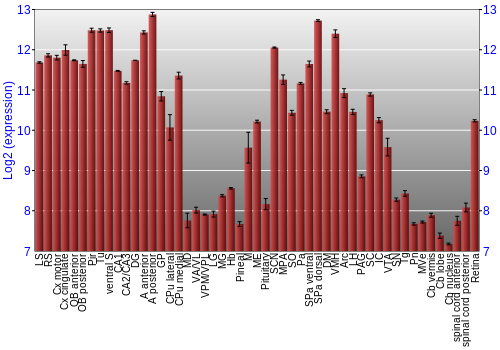 Expression graph