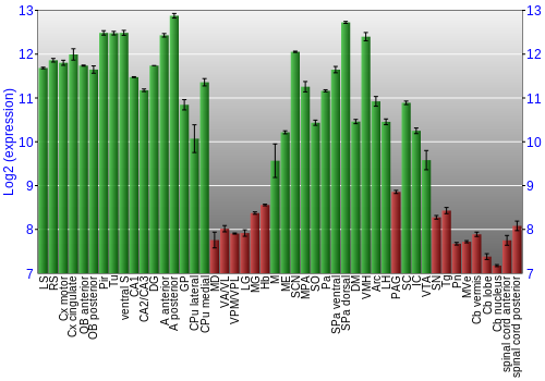 Multi-state expression graph