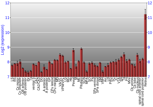 Expression graph