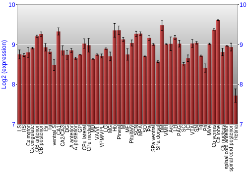 Expression graph