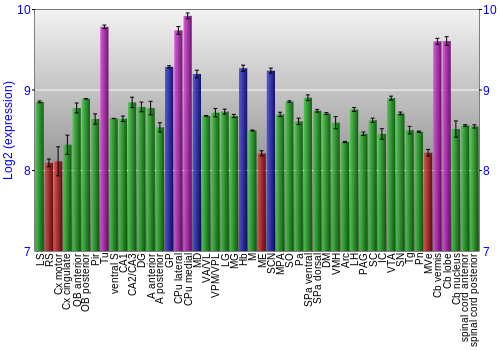 Multi-state expression graph