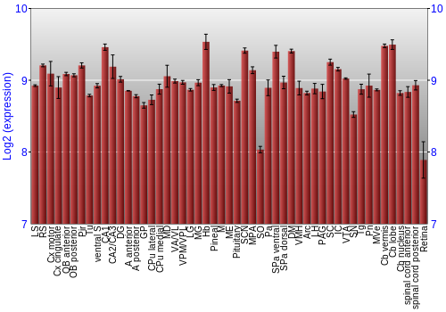 Expression graph
