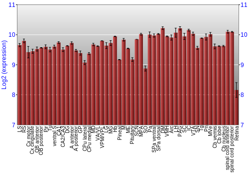 Expression graph
