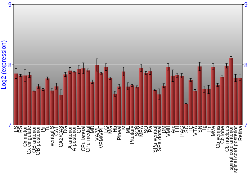 Expression graph
