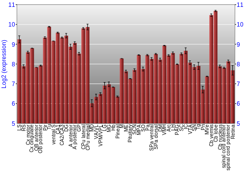 Expression graph