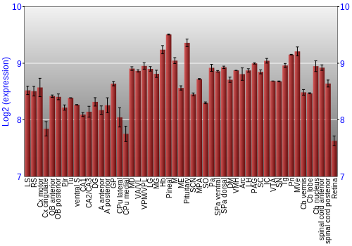 Expression graph