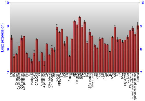 Expression graph