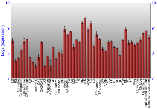 Multi-state expression graph