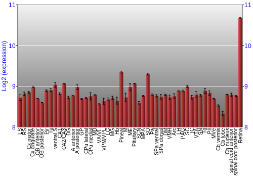 Expression graph