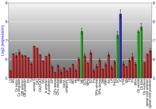 Multi-state expression graph