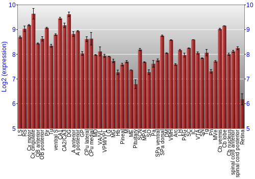 Expression graph