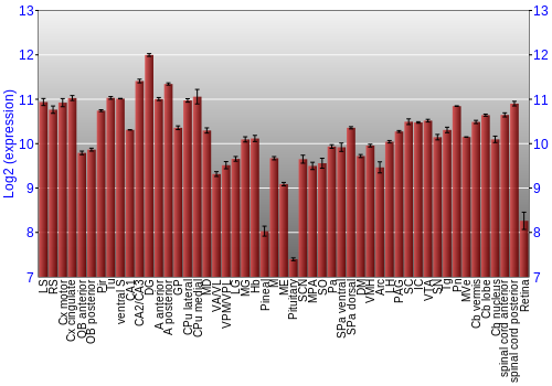 Expression graph