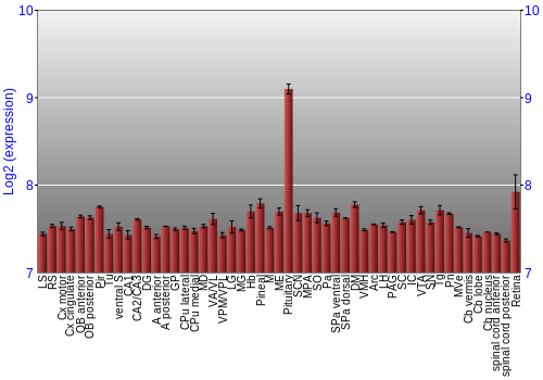 Expression graph