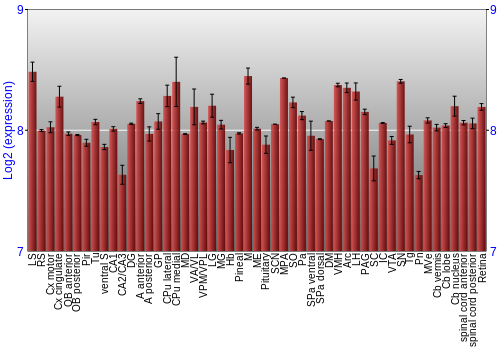 Expression graph