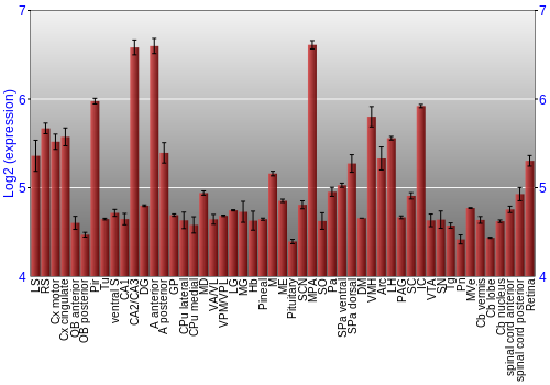 Expression graph