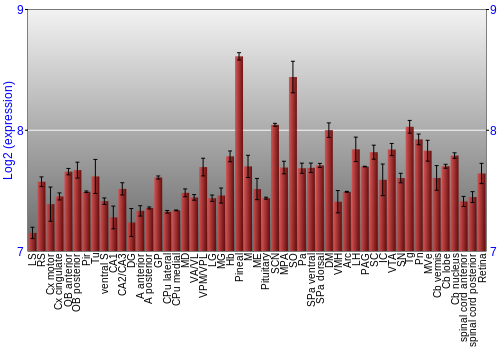 Expression graph