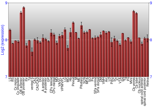 Expression graph
