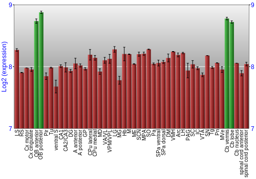 Multi-state expression graph