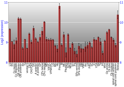 Expression graph