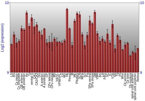 Expression graph