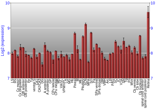 Expression graph