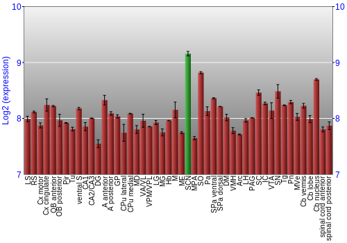 Multi-state expression graph