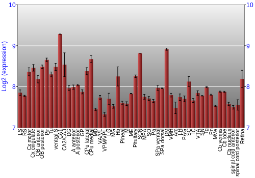Expression graph