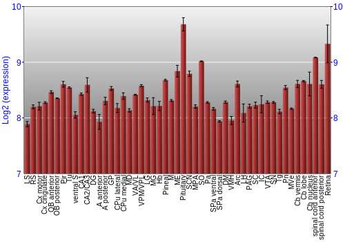 Expression graph