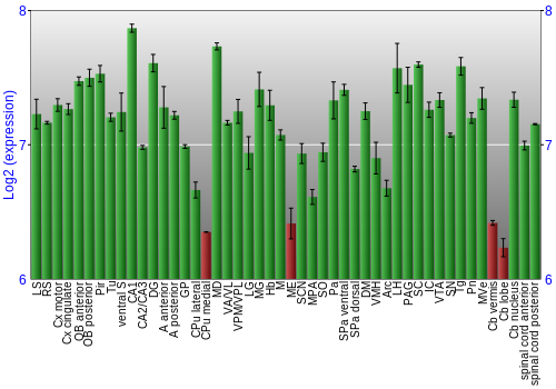 Multi-state expression graph