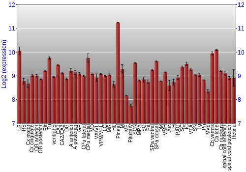 Expression graph