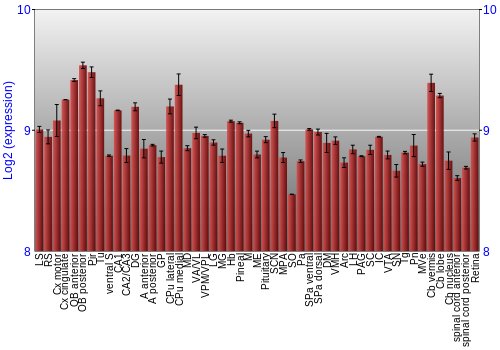 Expression graph