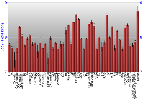 Expression graph