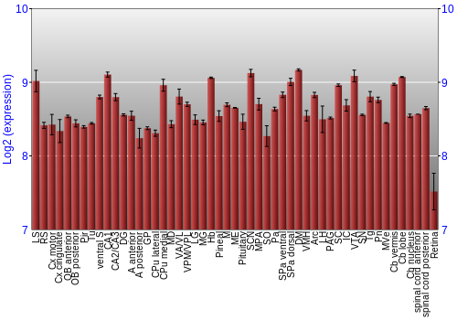 Expression graph